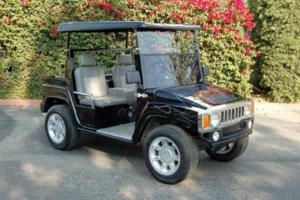 affordable golf cart rental, golf cart rent lexington
